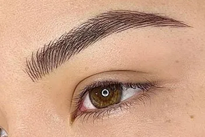 Nanobrows Service